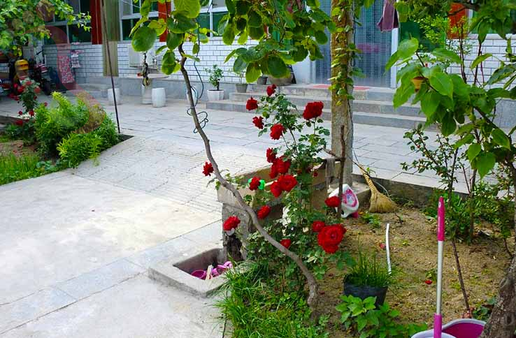 天津东升农家院 - 图片2