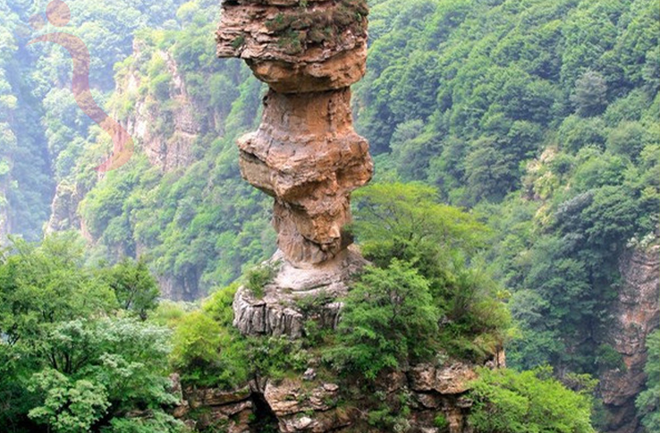 白洋淀水强农家院 - 图片7