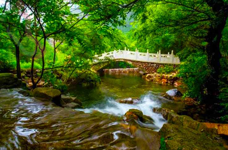 天津山暖农家民宿 - 图片8