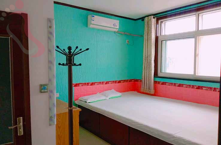 天津李大夫农家院房间图片1