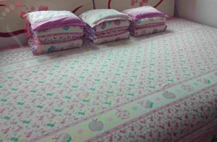 天津苏云仙农家院 - 图片5