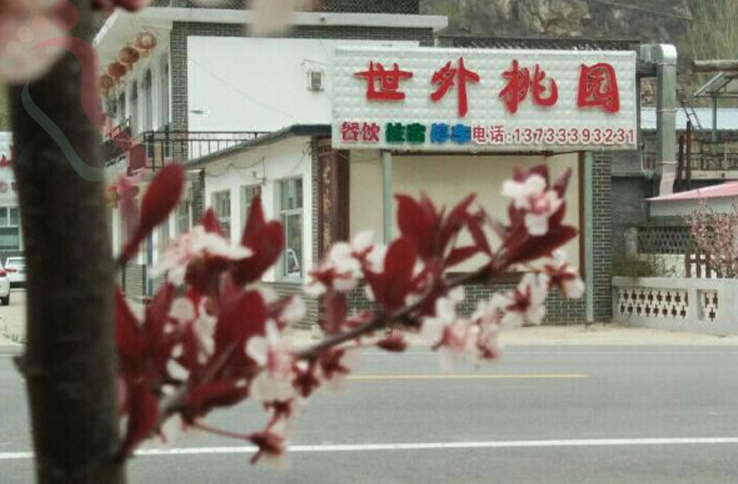 涞源世外桃园农家院 - 图片1