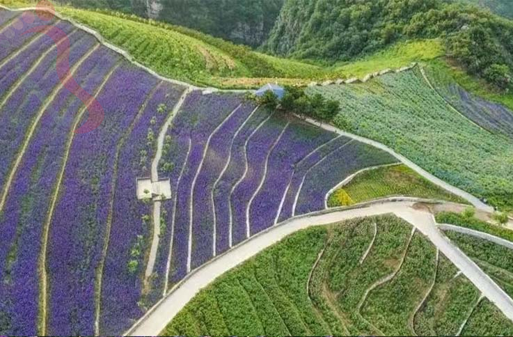 兴隆山那边农家院|承德旅游观花海兴隆养生农家院-民宿汇 - 周边游玩