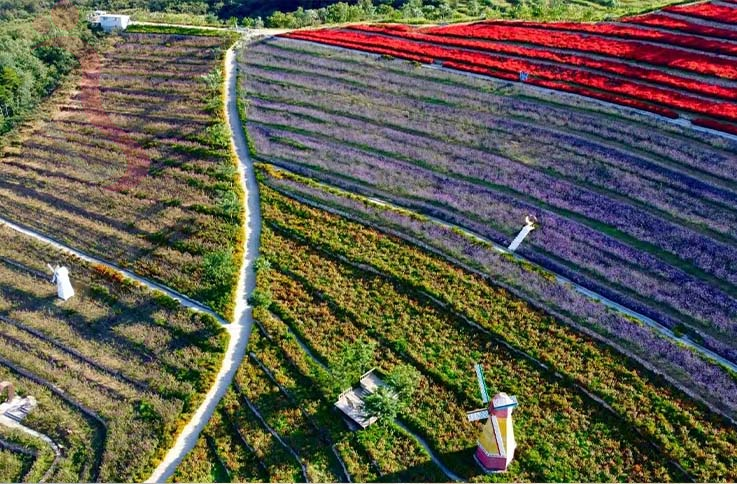 兴隆山那边农家院|承德旅游观花海兴隆养生农家院-民宿汇 - 图片4
