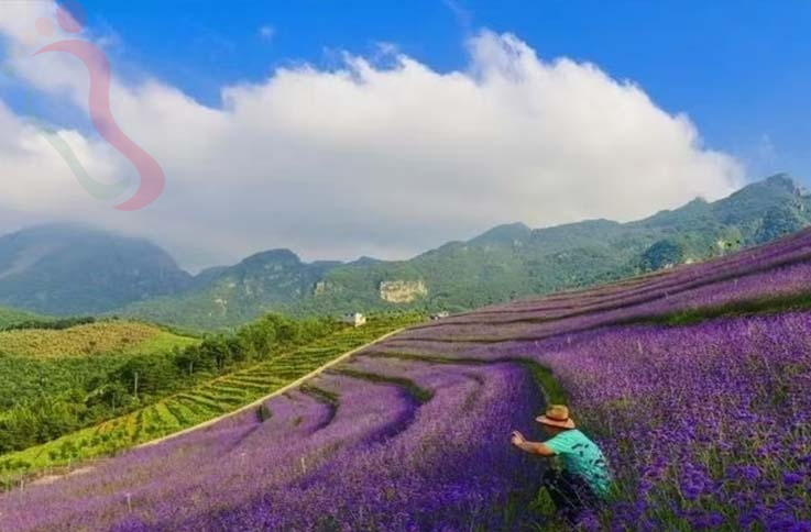 兴隆山那边农家院|承德旅游观花海兴隆养生农家院-民宿汇 - 图片2