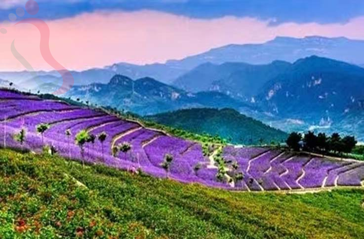 兴隆山那边农家院|承德旅游观花海兴隆养生农家院-民宿汇 - 图片8