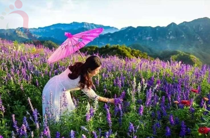 兴隆山那边农家院|承德旅游观花海兴隆养生农家院-民宿汇 - 图片6