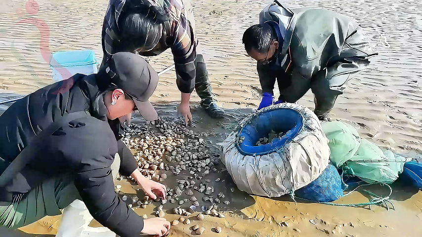辽宁大连长海县獐子岛亿丰渔家民宿 - 周边游玩