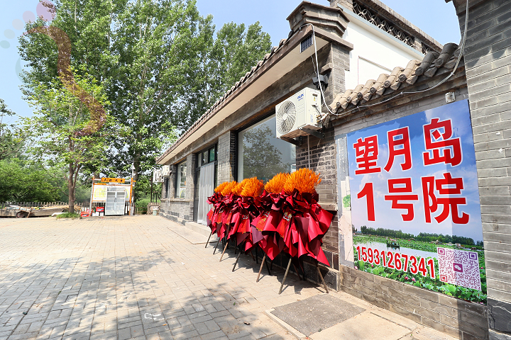 河北保定市安新县白洋淀望月岛1号院赏荷花野淀游 - 图片4