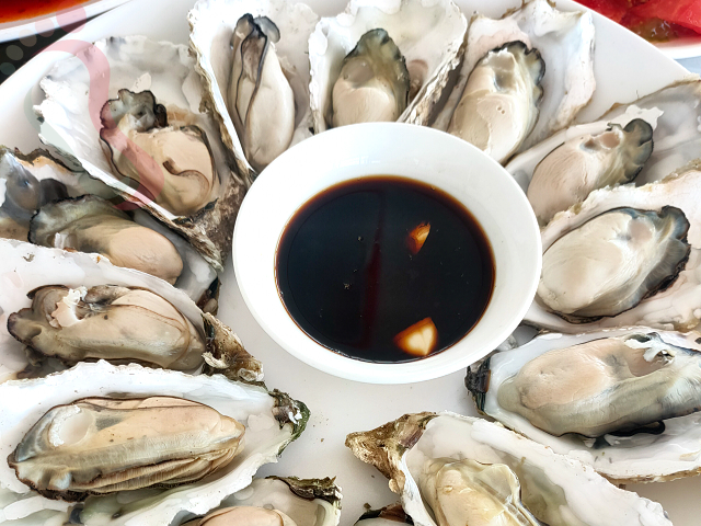 辽宁葫芦岛绥中县东戴河止锚湾快乐农家院 - 图片2