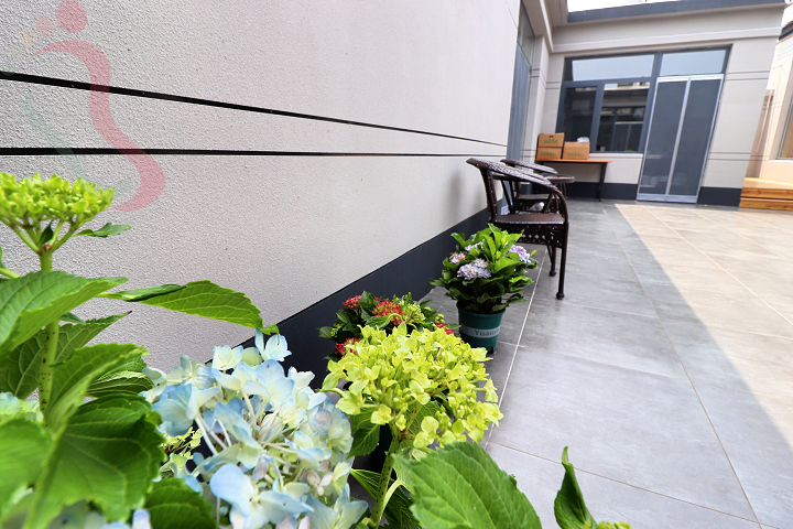 河北保定市安新县白洋淀民宿观荷台26号院荷芦水榭赏荷花野淀游 - 图片4