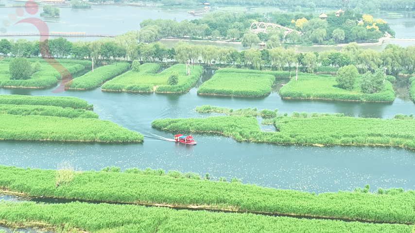 河北保定市安新县白洋淀望月岛1号院赏荷花野淀游 - 周边游玩
