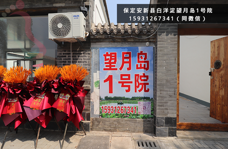 河北保定市安新县白洋淀望月岛1号院赏荷花野淀游