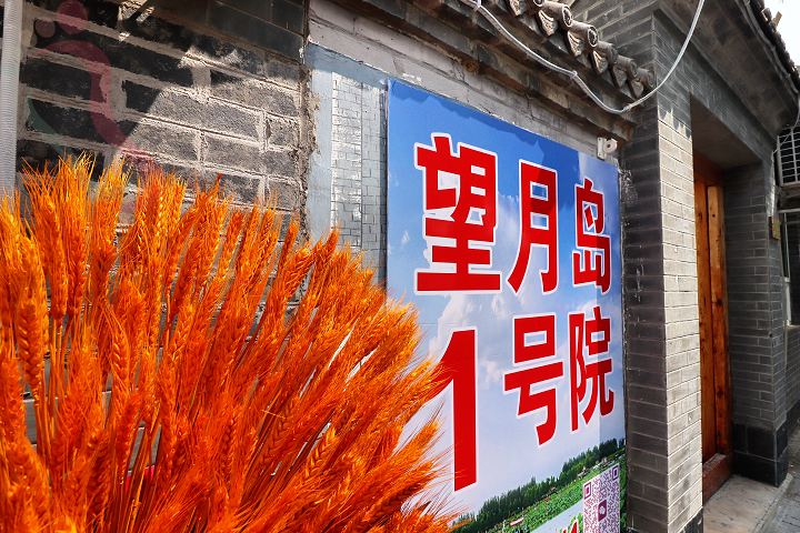 河北保定市安新县白洋淀望月岛1号院赏荷花野淀游 - 图片3