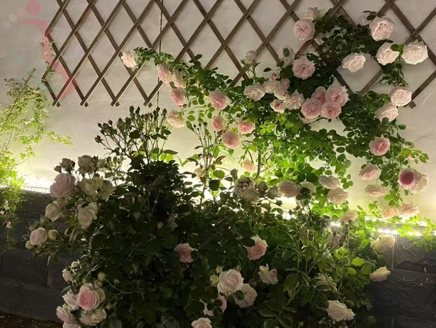 安新县安新镇白洋淀郭里口村田水园农家院民宿 - 图片1