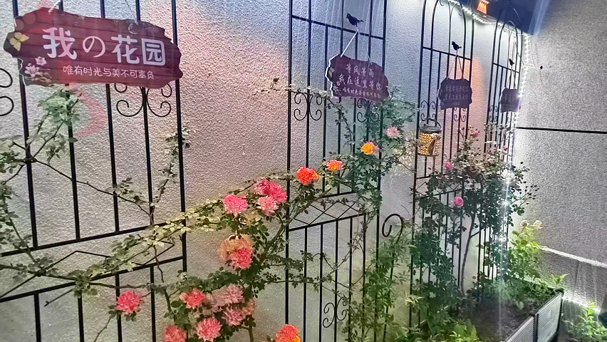 北京房山区十渡风景区蝙蝠山下民宿住宿农家院 - 图片13