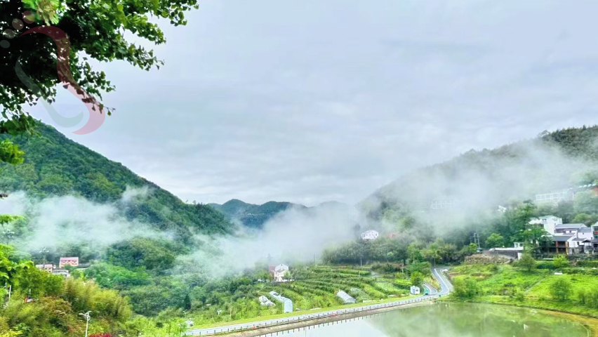 浙江湖州安吉董岭明秀农家院民宿住宿农家乐董岭自然风景区 - 图片8