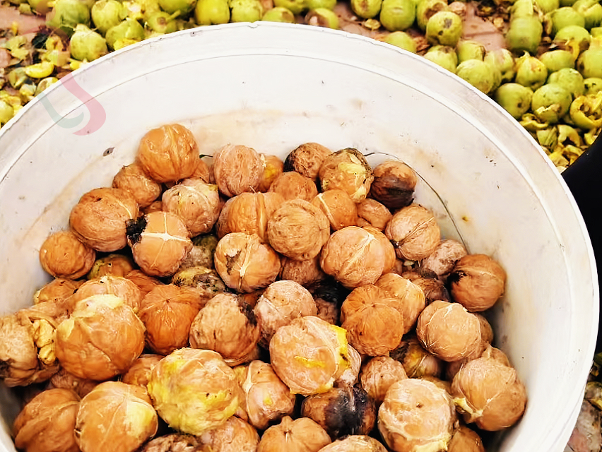 天津蓟县盘山一山小院民宿蓟县旅游一山小院盘山周边住处素雅惬意-民宿汇 - 图片5