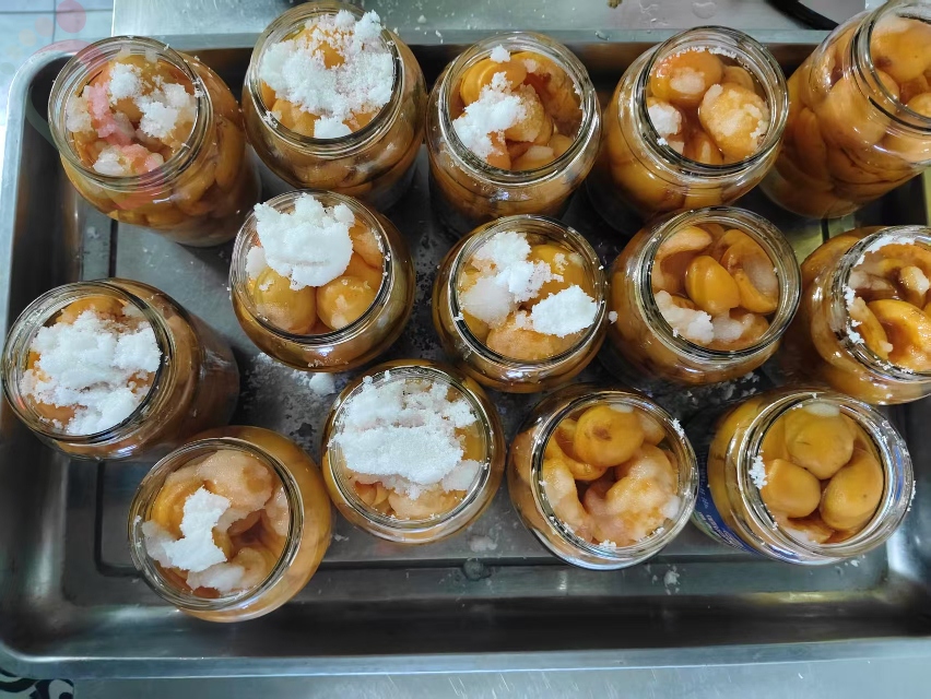天津蓟县团山子吉姆乐园鑫鑫民宿农家院亲子住宿农家乐-民宿汇 - 餐饮介绍