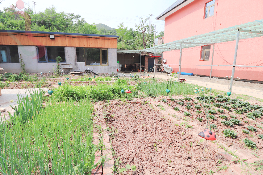 天津蓟县桑树庵村迎鑫农家院民宿吉姆乐园郭家沟住宿农家乐-民宿汇 - 图片10
