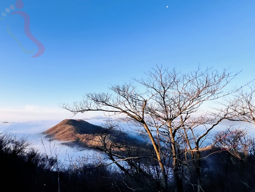 浙江安吉藏龙百瀑坐忘·山云民宿 - 图片15