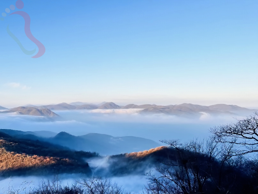 浙江安吉藏龙百瀑坐忘·山云民宿 - 图片16