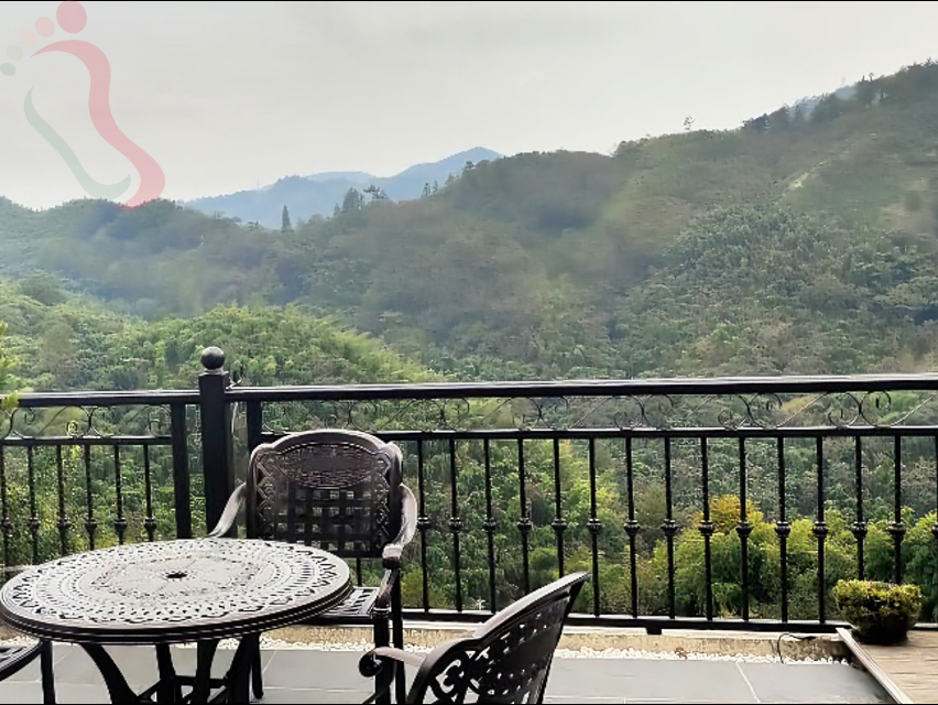浙江安吉藏龙百瀑坐忘·山云民宿 - 餐饮介绍