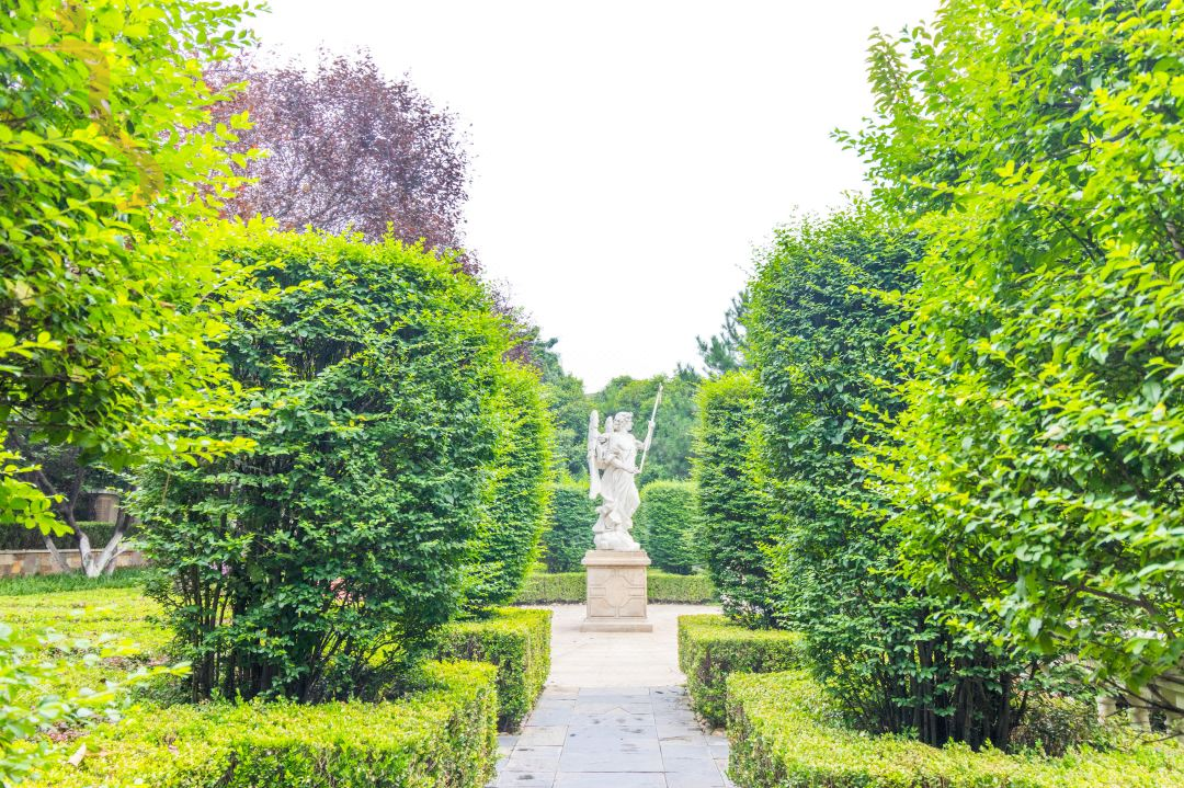 苑里民宿（大唐不夜城大雁塔店） - 图片7