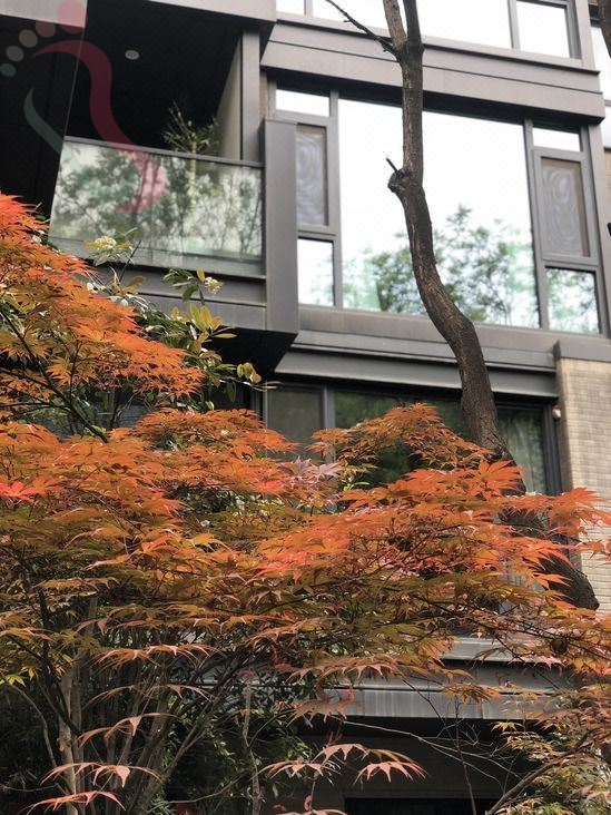 西安大唐不夜城乐府小院美墅 - 图片2