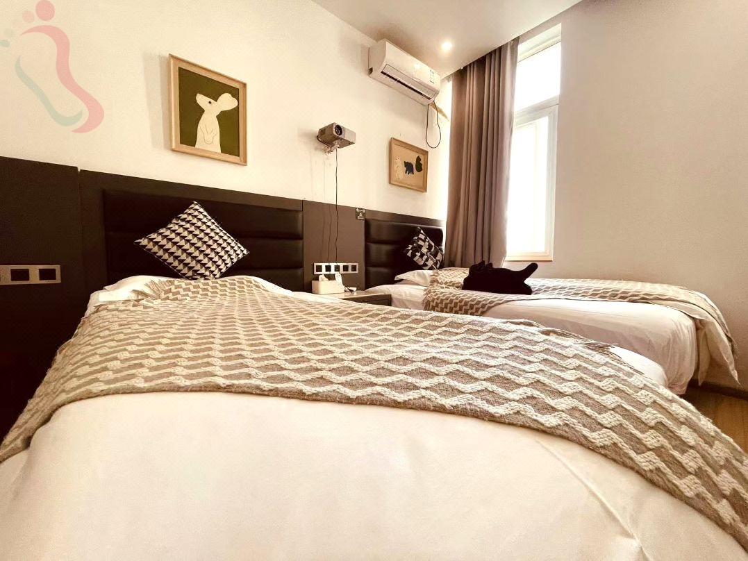 西安万青民宿（大雁塔大唐不夜城店）房间图片4