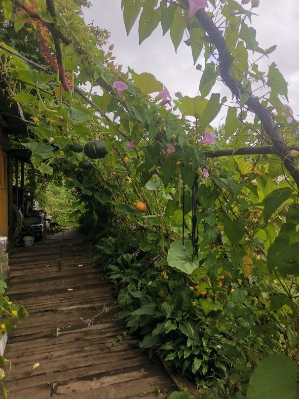 汤旺隆悦民宿 - 图片5