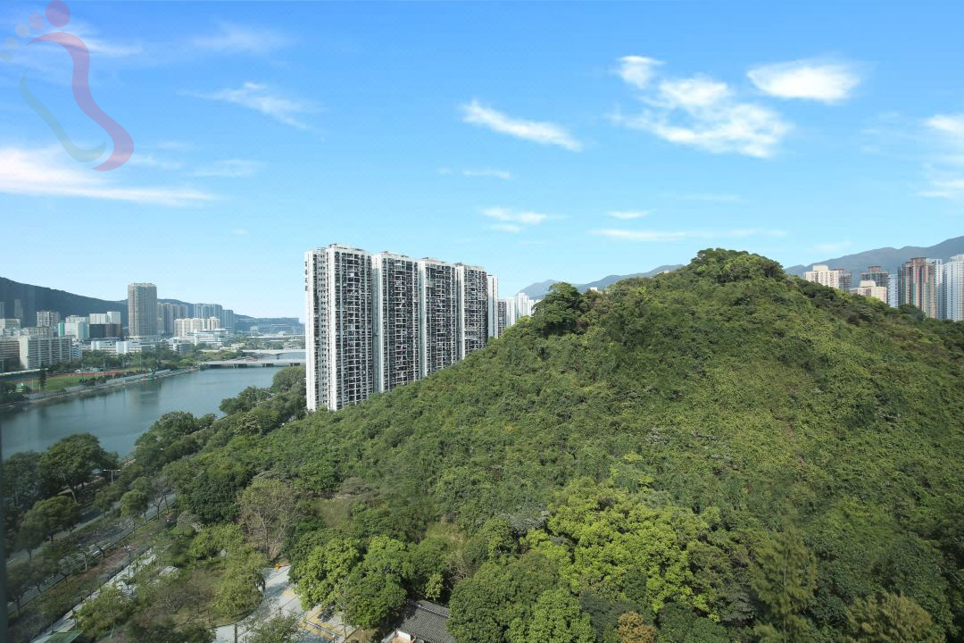 香港丽豪酒店 - 周边游玩