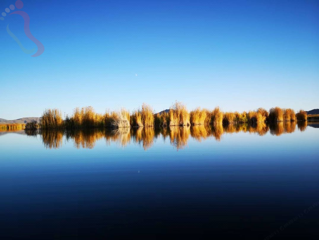 可可苏里花海民宿 - 图片11