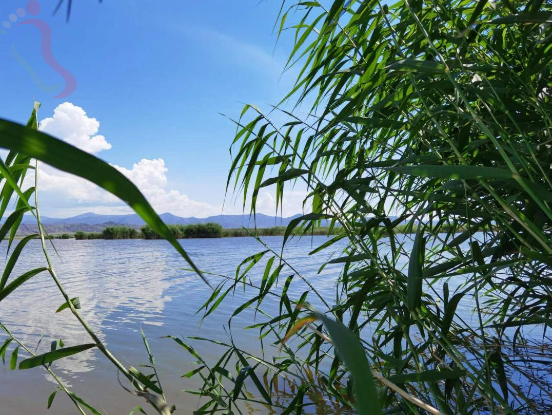 可可苏里花海民宿 - 图片4