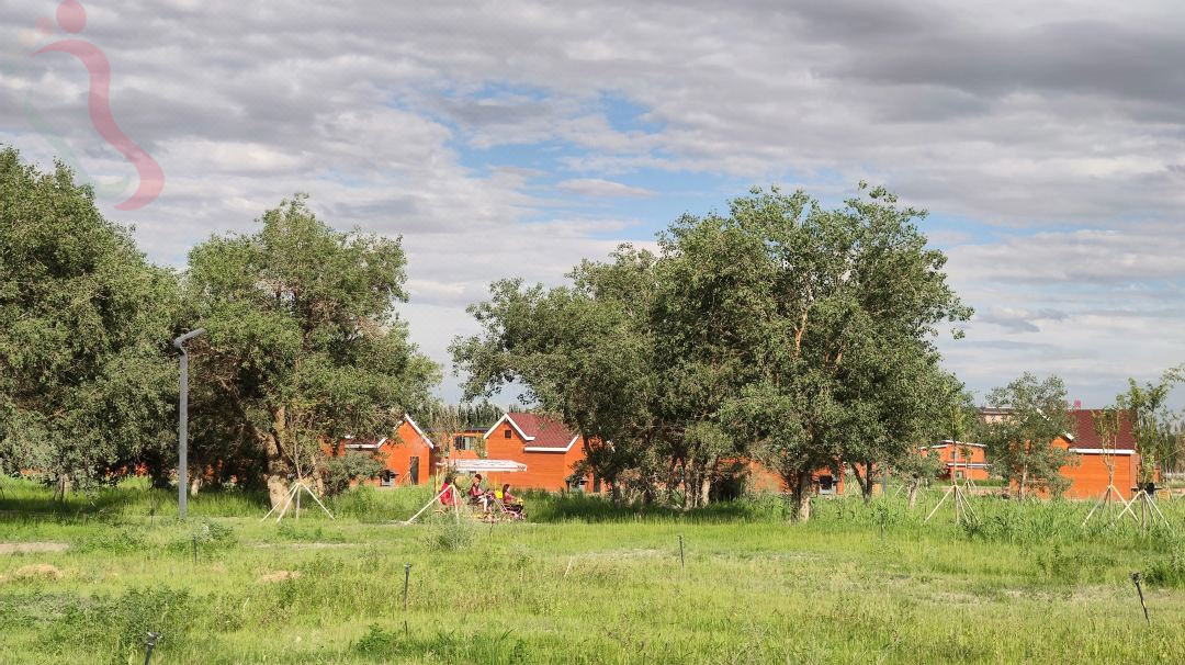 克拉玛依乌尔禾国际房车露营公园 - 图片4