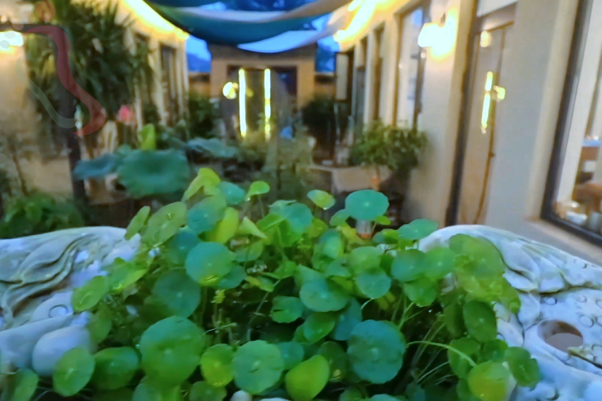 天津蓟县寺沟村初见如故民宿 - 图片2