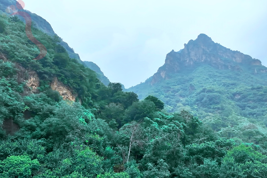 承德兴隆青松岭快活林米朵民宿白蛇谷石龙峡塞外江南景区边-民宿汇 - 周边游玩