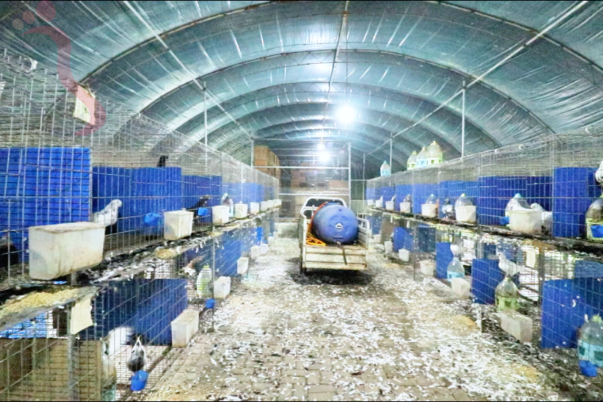 天津蓟县农耕舍院农场民宿东北风味坑烤百亩农场萌宠乐园四季可玩 - 图片6