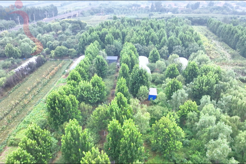 天津蓟县农耕舍院农场民宿东北风味坑烤百亩农场萌宠乐园四季可玩 - 图片1