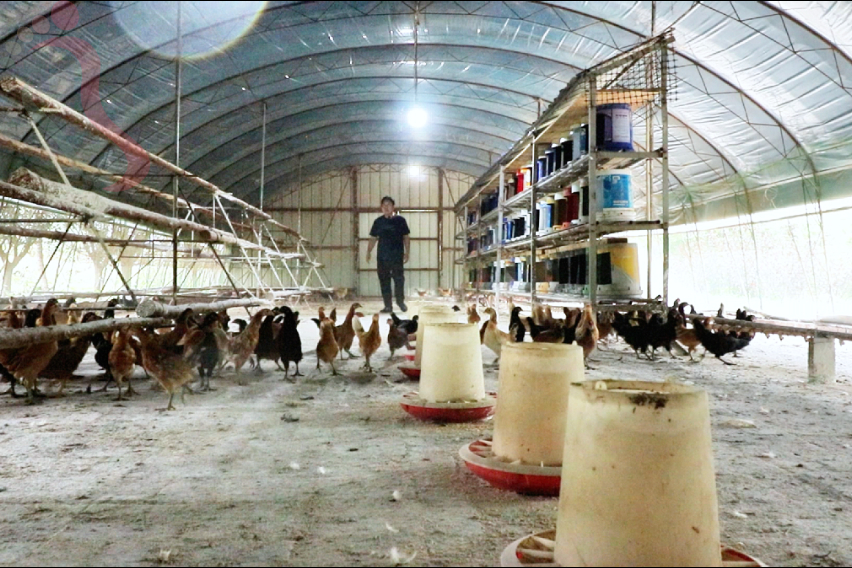 天津蓟县农耕舍院农场民宿东北风味坑烤百亩农场萌宠乐园四季可玩 - 图片3