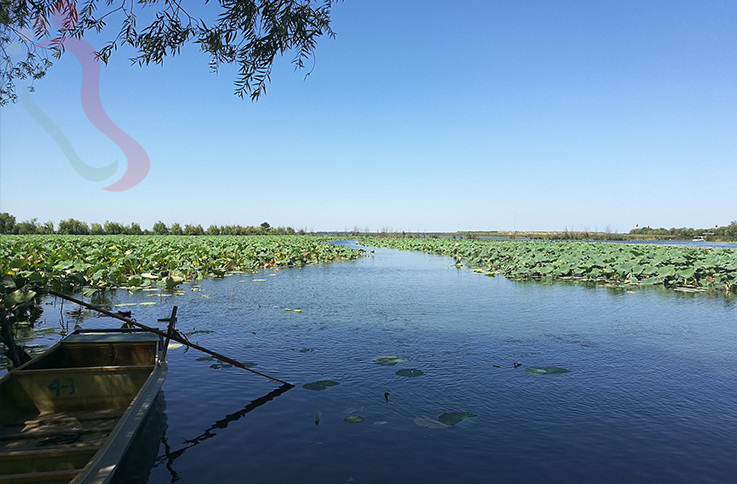 河北旅游白洋淀亚东农家院临水露台周边水景食材新鲜住宿环境整洁美食多样 - 周边游玩