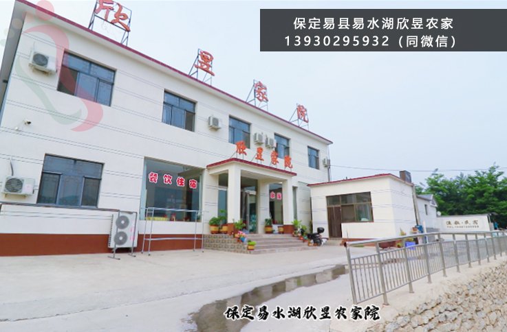 河北保定易县易水湖欣昱家院地道农家美食食材新鲜老板服务周到