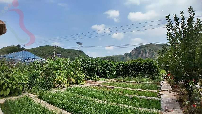 河北保定易县易水湖乐食园农家院 - 图片1