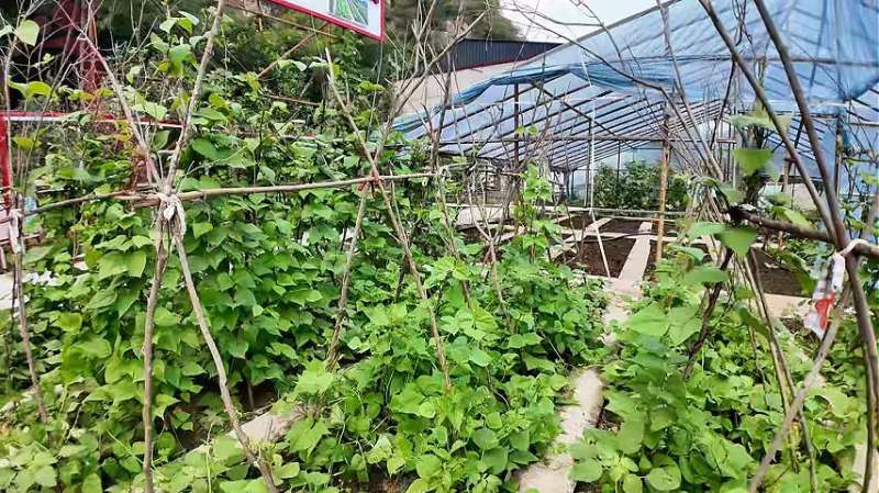 河北保定易县易水湖乐食园农家院 - 图片2